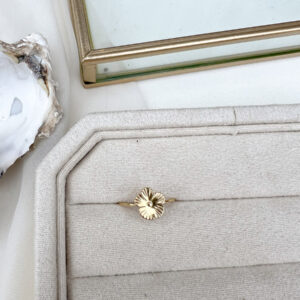 glanzende bloem ring an