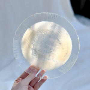 white pearl resin art servies an